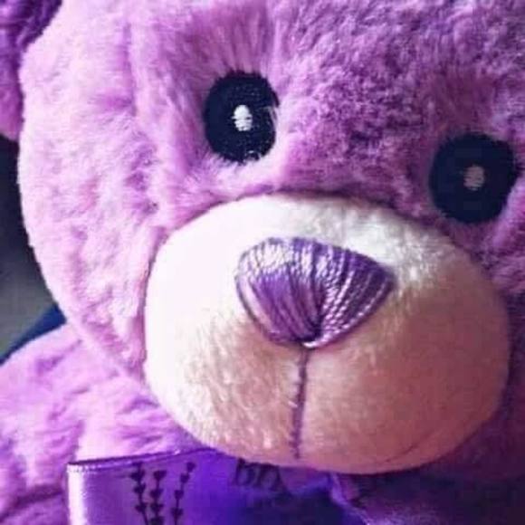 Meet your Posher, Loulou - Picture 1 of 1